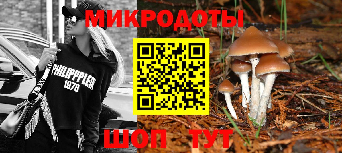 где можно купить   Галлюциногенные грибы Psilocybine cubensis  Вход с VPN  Омск 